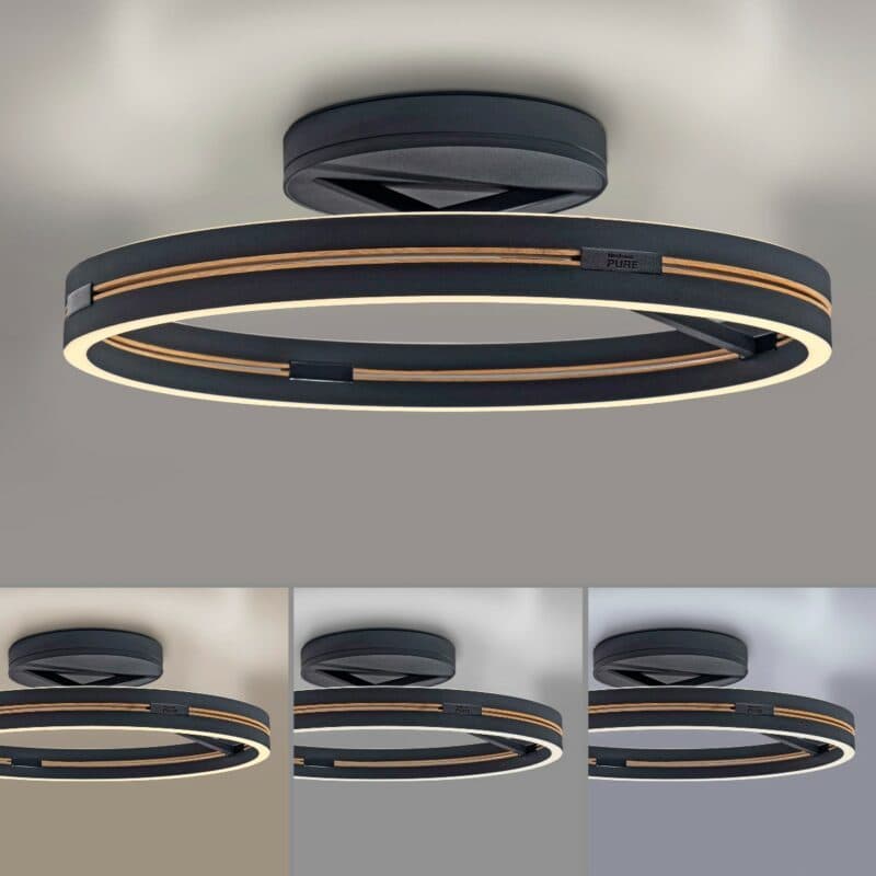 Paul Neuhaus Deckenleuchte Pure Loop in Schwarz matt/Eiche geölt Beispiel Warmweiß/Kaltweiß