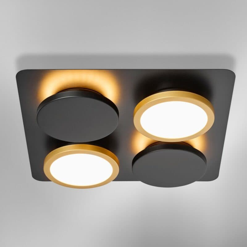 Lupia Licht Concept Plate Wohnbeispiel
