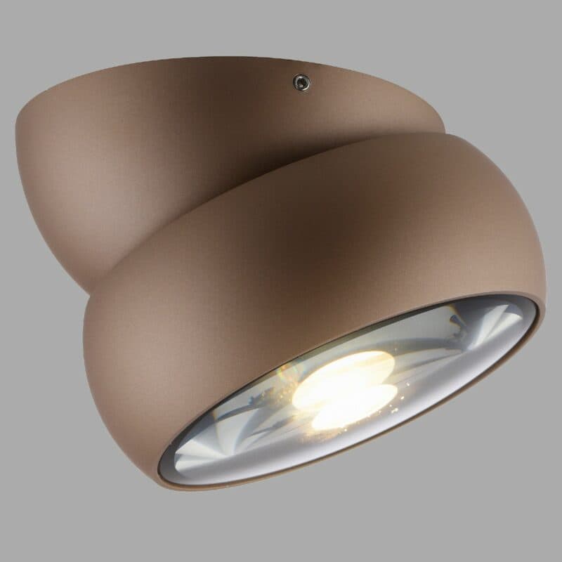 Paul Neuhaus Deckenleuchte Pure-Move in Bronze