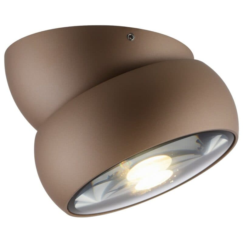 Paul Neuhaus Deckenleuchte Pure-Move in Bronze