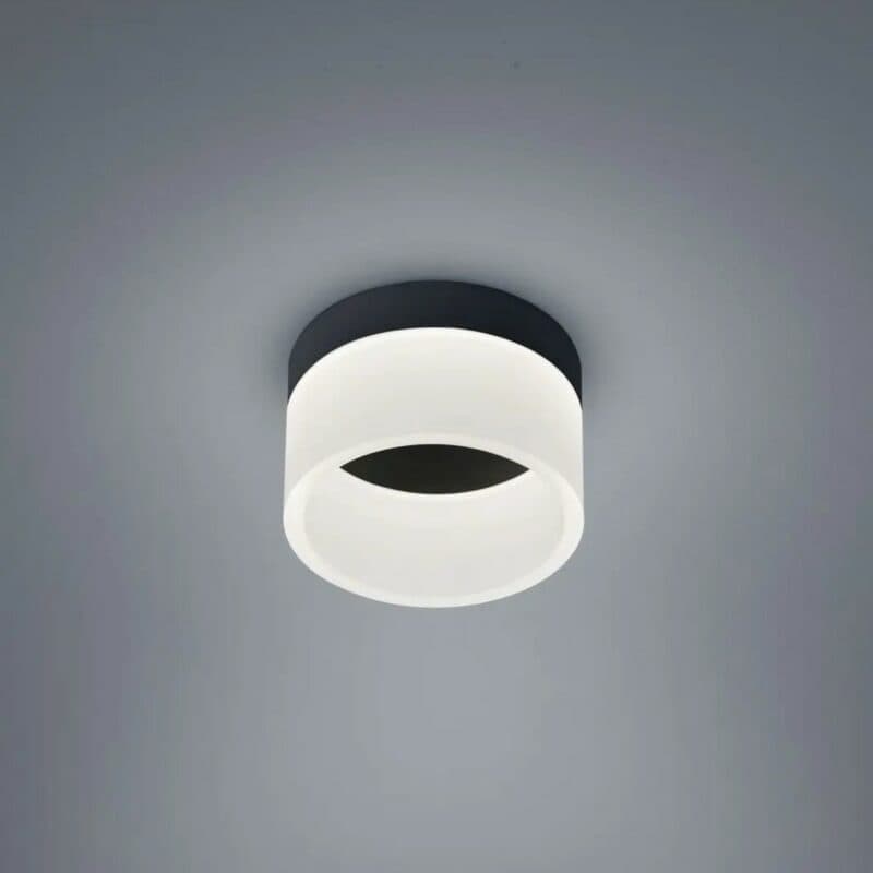 Helestra Deckenleuchte Liv in Schwarz mit 15 cm